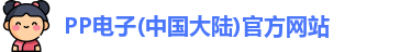 PP电子
